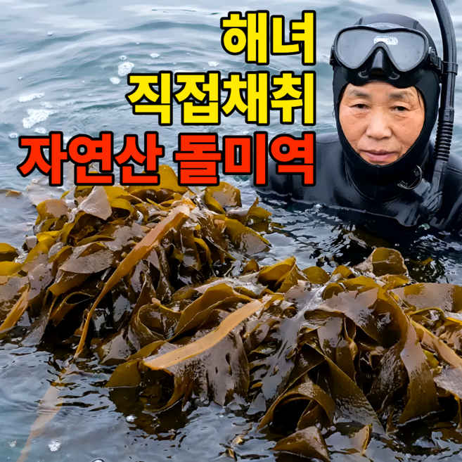 [해녀직접채취]자연산 물미역 청정바다 물미역 프리미엄, 1박스, 1.2kg