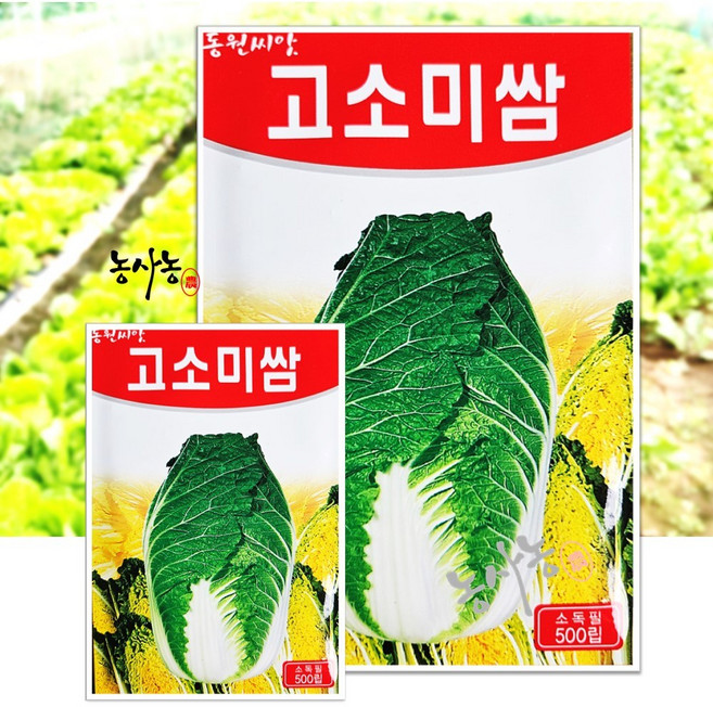 농사농 종자 고소미 쌈배추 씨앗 500립, 1개