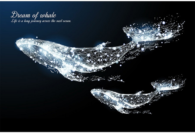 코나 주방아트보드 가스렌지 인덕션 가드 가림막 기름튐방지 고래의꿈2 실버