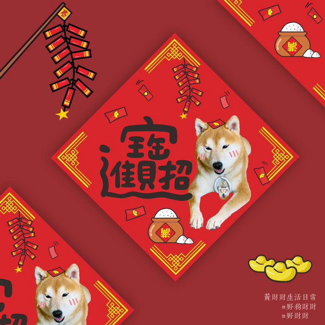 野財財 雙面柴犬春聯 14.5公分 招財進寶狗狗春聯 可愛新年裝飾
