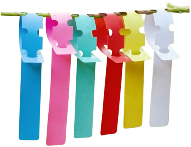 나무 식물 이름표 타이형 고리 원예 라벨 100매 식물 네임 팻말, 그린