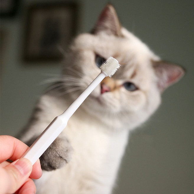 PET 강아지 고양이 칫솔 양치 입냄새 치석제거 360도_ 2067423621EA, 강아지고양이원형칫솔