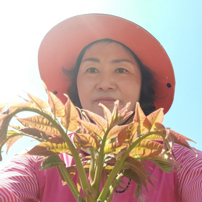 [긴급공수] 충남부여 친환경 유기농 가죽나물, 1박스, 1kg