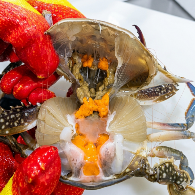 [특가] 서해안 활 암꽃게 알배기 제철 꽃게, 1박스, 대 3kg 9~12미