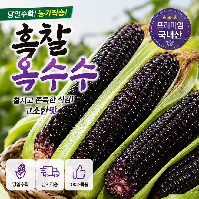 [초특가산지직송] 쫀득식감 찰기폭발 특품 흑찰옥수수, 1박스, 10개