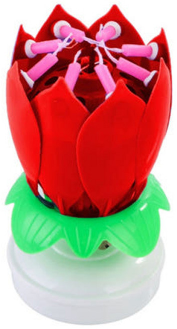 스토리빙 생일 축하 초 연꽃 멜로디 선물 파티 용품 + 숫자 토퍼 19p 세트, 레드