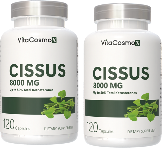 VitaCosmoX 시서스 추출물 Cissus 고함량 고농축 8000mg 케토스테론 50% 시서스 캡슐 시서스 가루 분말, 120정, 2개