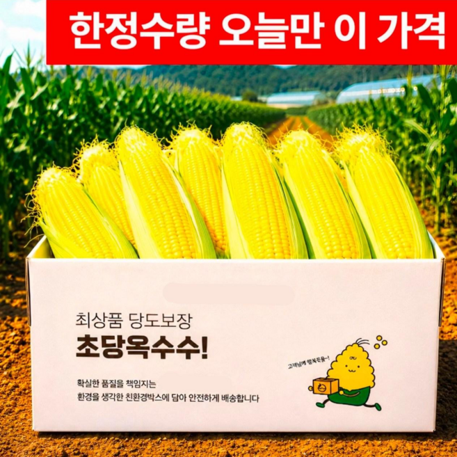 [마지막초특가] 당일수확 산지직송 고당도 초당옥수수, 1박스, 5개 (중품)