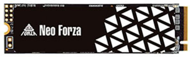 Neo Forza 凌航 NFP4V5 1TB PCIe Gen4x4 固態硬碟