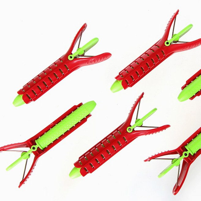 이노뷰 뿌리볼륨집게, 6개