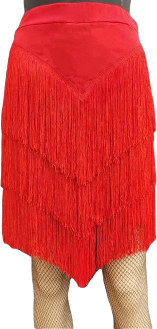 라틴 라인 댄스복 라틴 댄스 스커트연습 의류 여성 성인 스커트 술 스커트 하의 경쟁 댄스 공연 의류, 4XL 빨간색, 빨간색