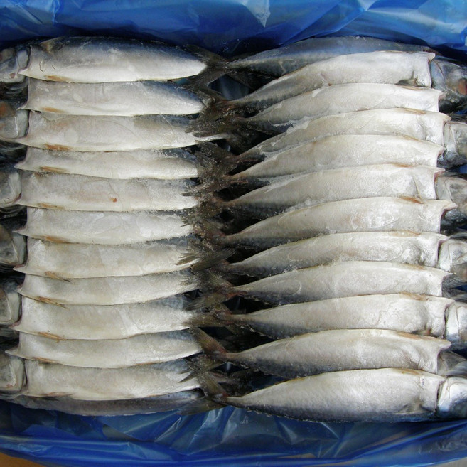 건어물천국 자반고등어 소 사이즈 대용량 실속형 가정용 업소용, 1개, 8kg