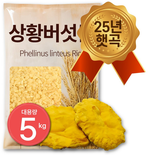 25년 햅쌀 100% 국산 상황버섯쌀 면역관리 베타글루칸 폴리페놀, 1개, 5kg