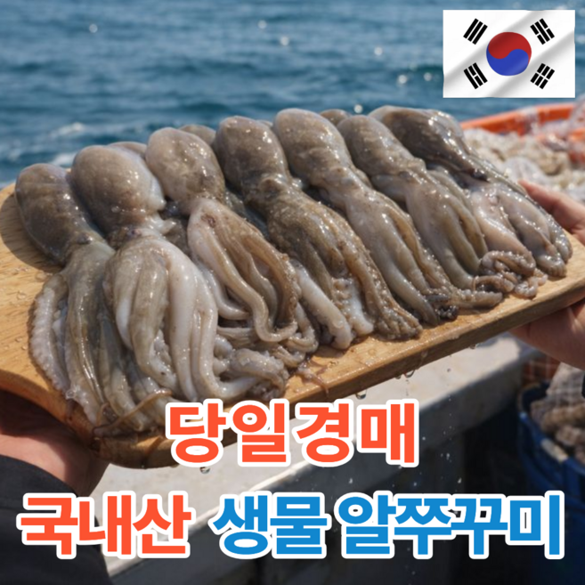 [당일경매] 봄제철맞은 국내산 알배기 생물쭈꾸미, 1개, 1kg