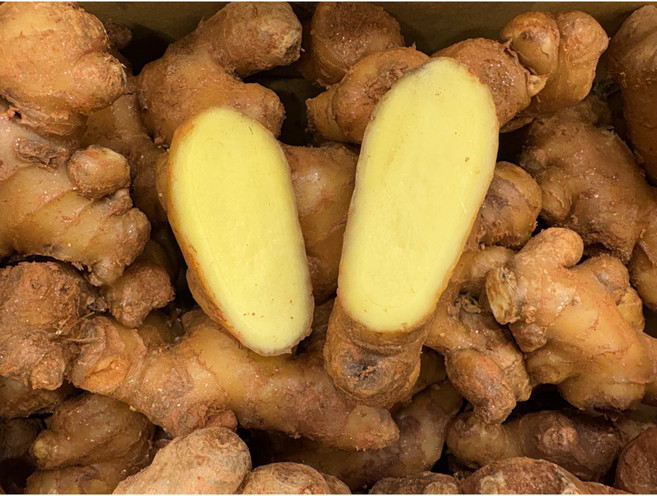 명품뿌리 흙생강 황토 서산 국내산 특품, 1개, 1kg(특품)