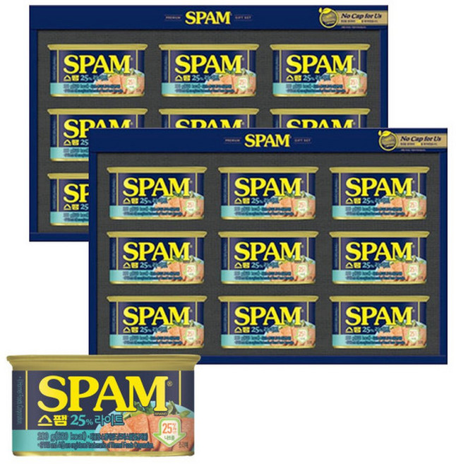 CJ제일제당 스팸 마일드 8호 2개 햄세트 스팸세트 명절선물 GT, 1세트, 100g