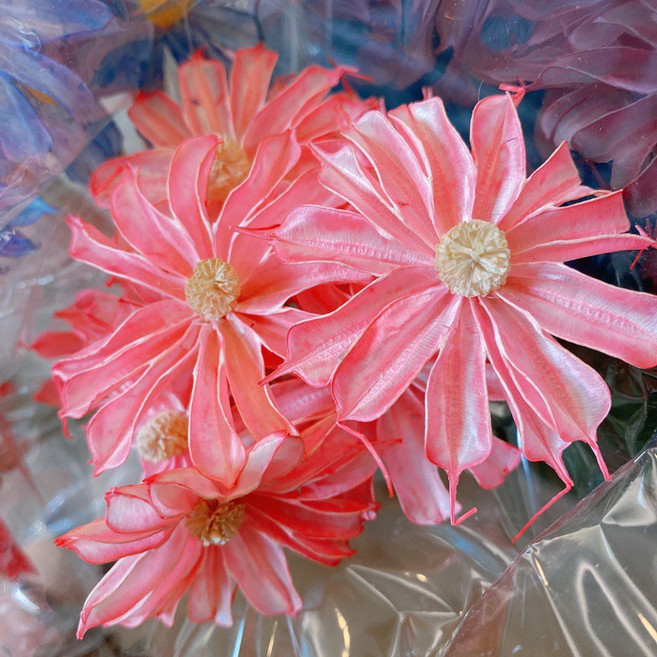 小雛菊木片花 乾燥花插花DIY材料, 粉紅色,1支
