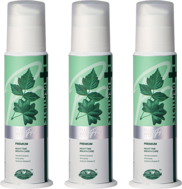 덴티스테 플러스화이트 프로 펌프형 치약, 170g, 3개