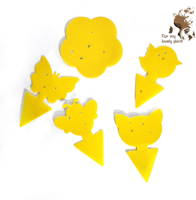 끈끈이 트랩 10개 트랩픽 2개 세트 초파리 뿌리파리 퇴치 끈끈이 가든 트랩 거목산업사, 새, 1개