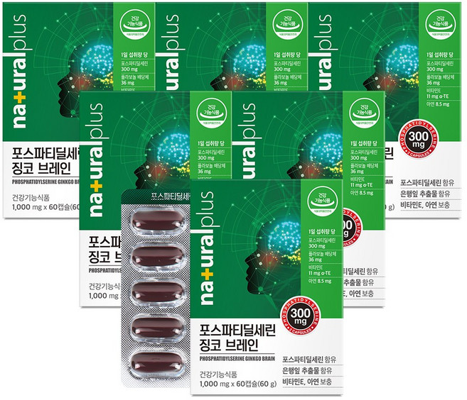 내츄럴플러스 포스파티딜세린 징코 브레인, 60정, 6개