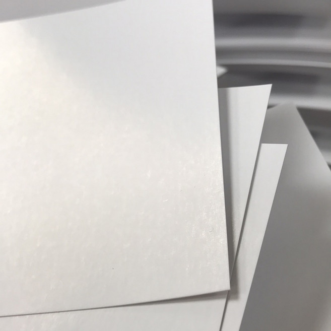 Fion 西卡紙 空白厚卡手卡單字卡 亮面, 1個, 3.6x9.8cm-240張