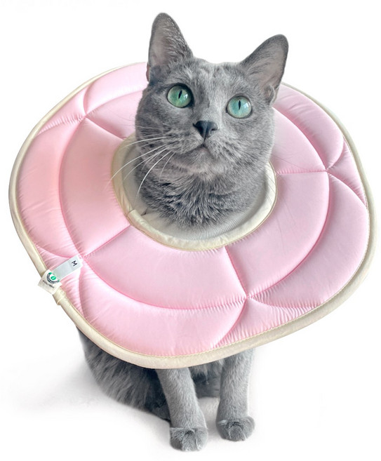 개놀자 반려동물 플라워 넥카라, 핑크, 1개