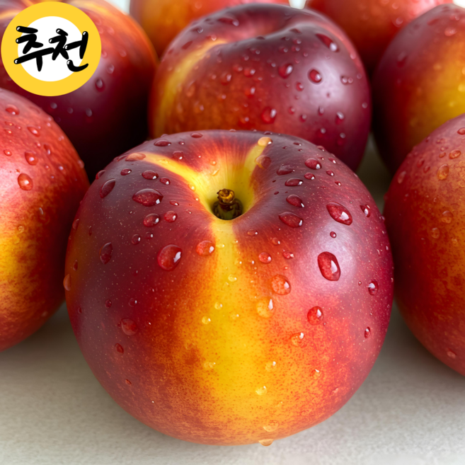 [재구매1위] 고당도 프리미엄 천도복숭아 옹골찬 골드 환타지아 제철과일 경산 김천 의성 산지직송, 1개, 천도 대과 1kg
