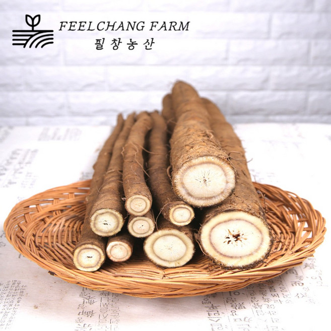 안동우엉 국내산 우엉 산지직송, 1개, 우엉 [알뜰] 2kg (짧고굵음/차용)