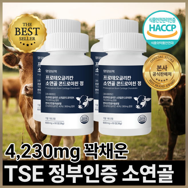 영양비책 프로테오글리칸 소연골 콘드로이친 정, 4개, 60정