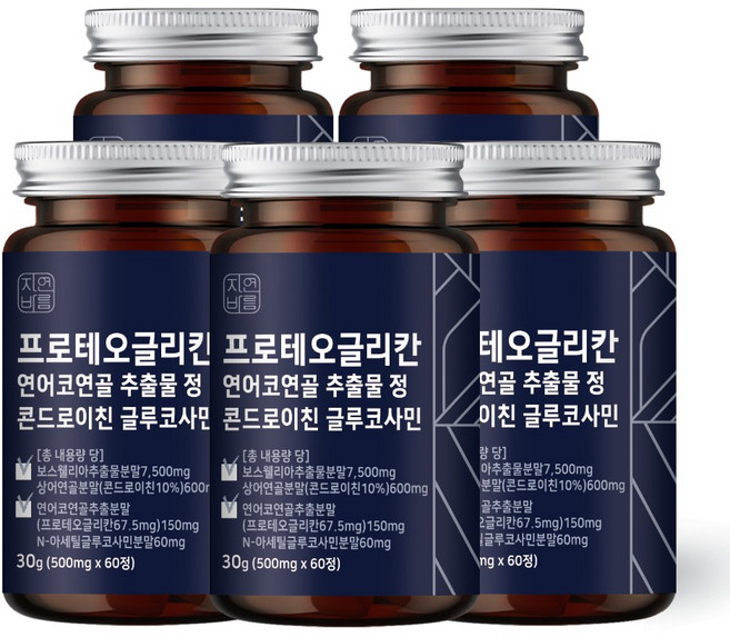 자연바름 프로테오글리칸 연어코연골 추출물 분말 정 비변성 2형 콜라겐 콘드로이친 황산 글루코사민, 60정, 5개