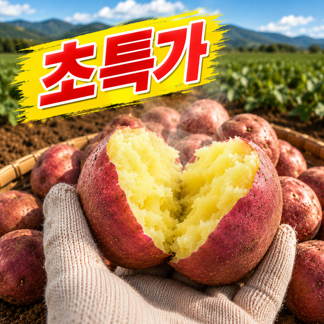 [최저가파격특가] 재구매율1위 포슬포슬 햇 홍감자, 1박스, 3kg(대)
