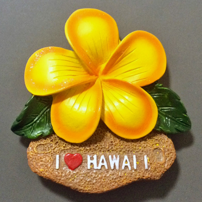 냉장고자석 한국 인도 미국 호주 제주도 괌 하와이 뉴욕 터키 마그넷 마그네틱 기념품, 미국19.하와이