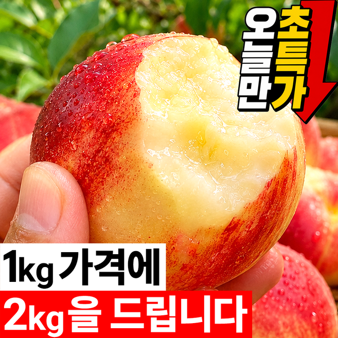 [2주한정초특가] 대형마트납품 프리미엄 고당도 신비복숭아, 1박스, 2kg(소과) 가성비