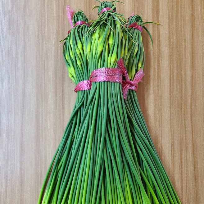 남해 햇 마늘쫑 국내산 특품 중품 상품 1kg, 마늘쫑 1kg 특품, 1개