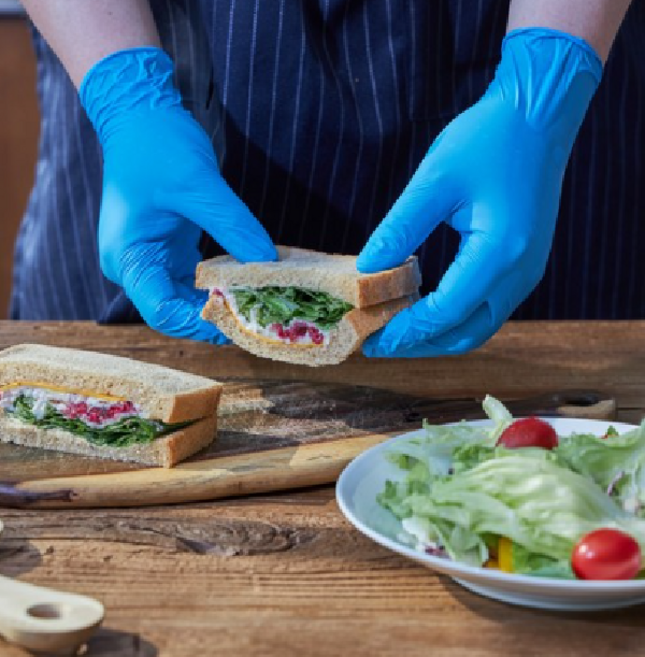 생활을그리다 다용도 니트릴장갑 블루 100매, 10개, 100개입, 특대(XL)