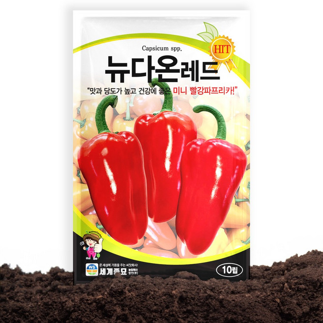 세계종묘 뉴다온레드 파프리카 씨앗 10립 빨강 미니 파프리카 피망 씨 종자, 1개