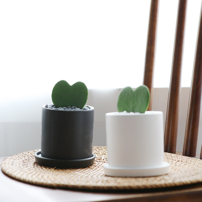 공기정화식물 스투키 세라믹화분, 1개, 하트호야 원형 블랙