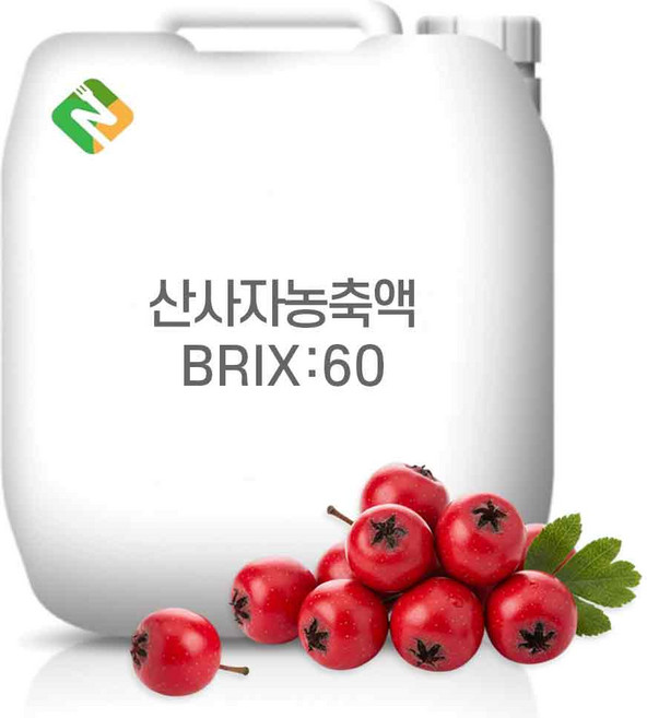 산사자농축액 60Brix 20kg, 1개