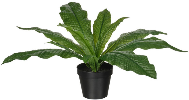 이케아 페이카 조화화분 인조식물 악어 고사리 (화분지름:12cm), 1개