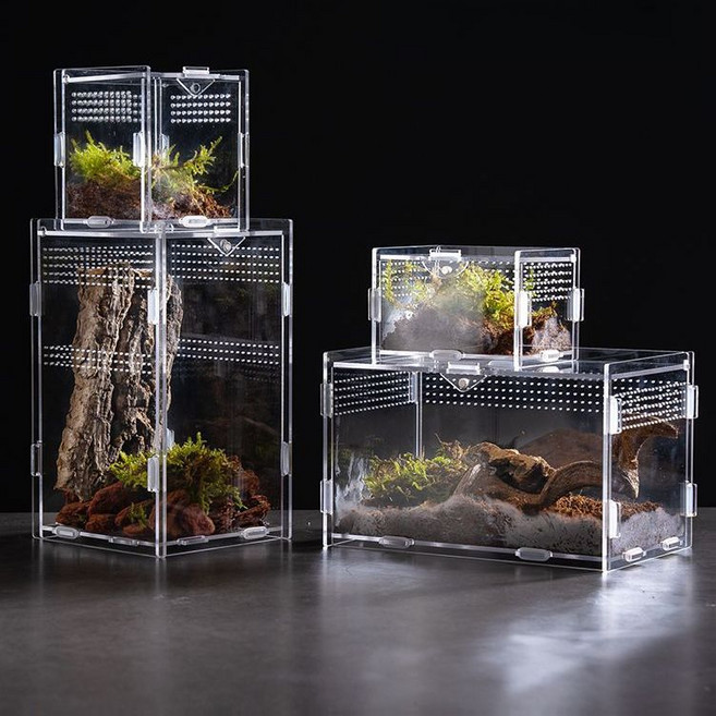 도마뱀 파충류 사육장 아크릴 케이지 거미 개구리 상자, G. 블랙 / 30x20x18cm, 1개
