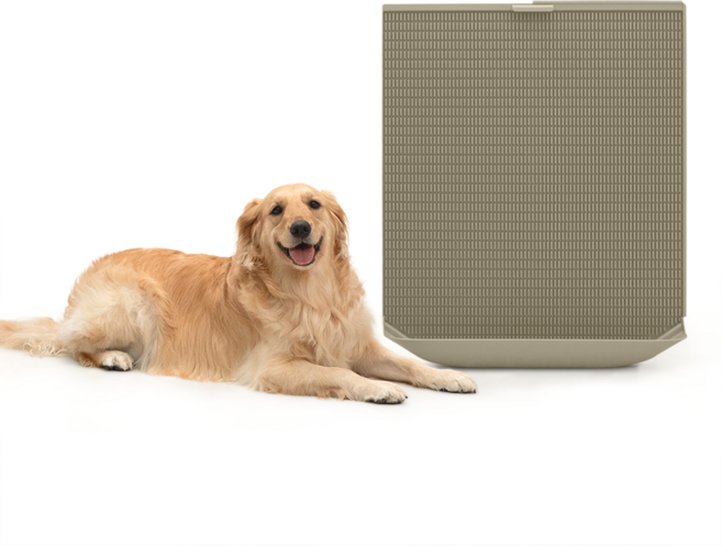 독톡 강아지 배변판 패드필요없음, 카키그레이, 1개