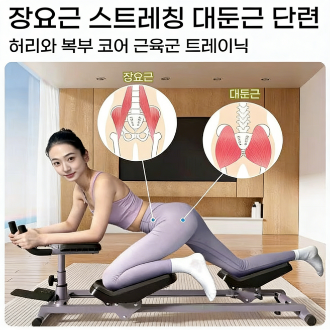 가정용 복근 운동기구 코어 허리 복부 실내 운동기구 재활 홈트 전신운동 머신, 스테인리스색, 프리미엄 모델