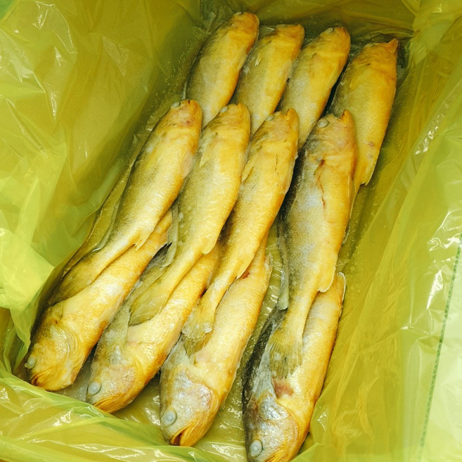 식당업소용 황금빛 부세조기 300-400g 약3.4kg(12마리 X 약25cm) 큰조기, 1