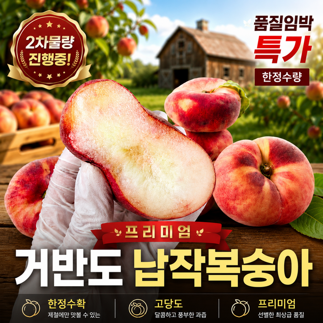 4위 - [1주만 파격특가] 거반도 납작복숭아 고당도 산지직송 제철복숭아 백도 프리미엄 2차물량, 1박스, 500g 
