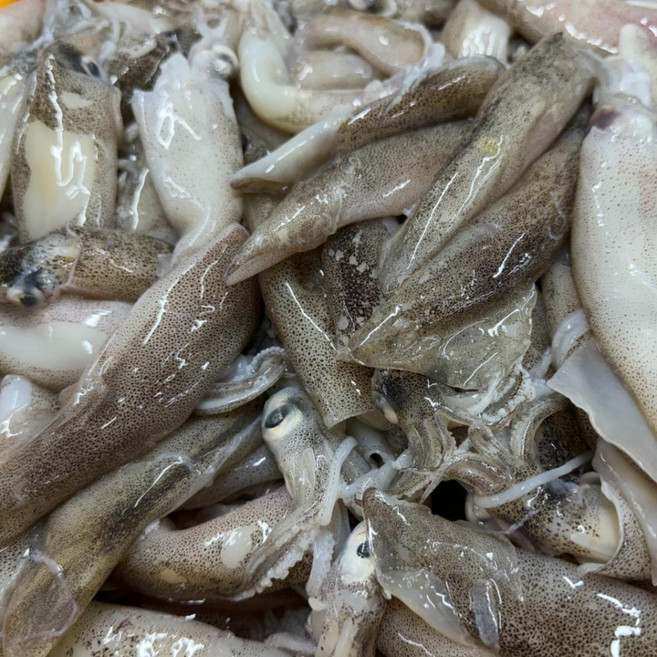 자연산 생물 급냉 총알한치 500g(15~25미 내외) 내장 통찜, 1개, 총알한치 1kg(500g*2팩)