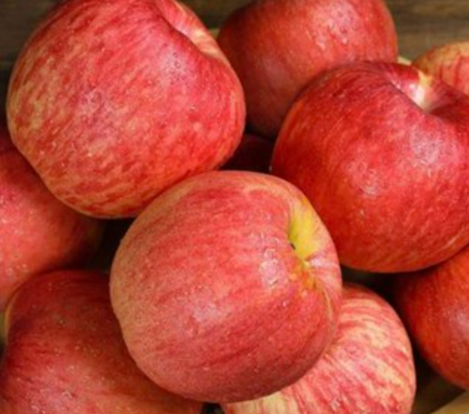 [25년햇사과]한정수량초특가 고당도 부사사과, 1개, 3kg (꼬마~대과)