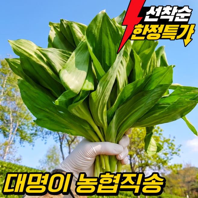 [일일한정 초특가] 울릉도종 명이나물 대명이 강원도 산지직송 산나물, 1kg, 1개
