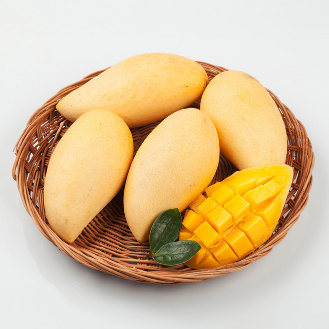 프리미엄 태국 생 망고 남독마이, 1개, 1kg(2~3개)
