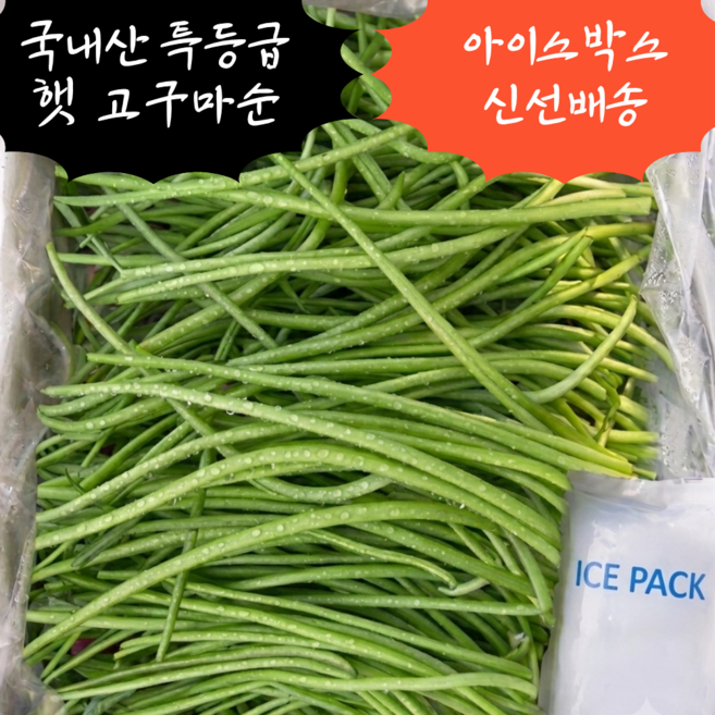 4위 - [5차완판] 당일수확 싱싱한 고구마순 고구마줄기, 1박스, 1kg