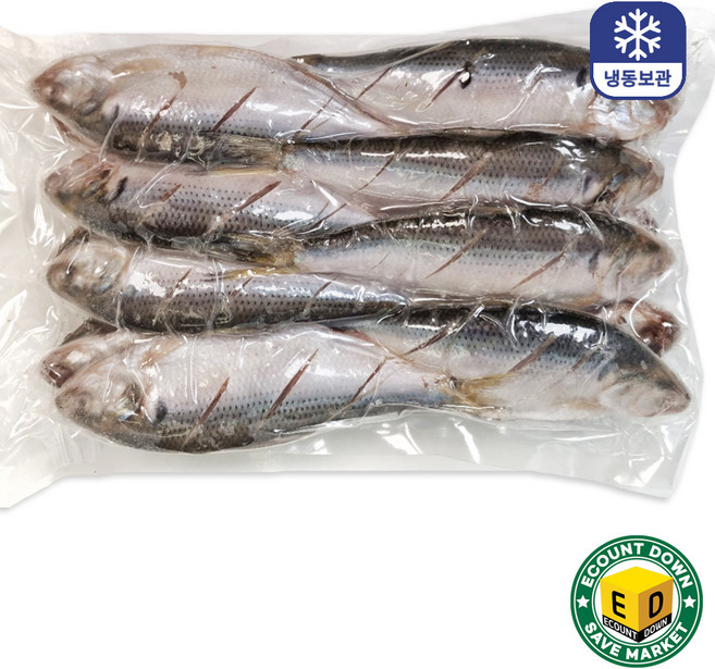 자연산 가을 전어 구이용 내장제거 칼집 (12~16미) 1kg, 1개